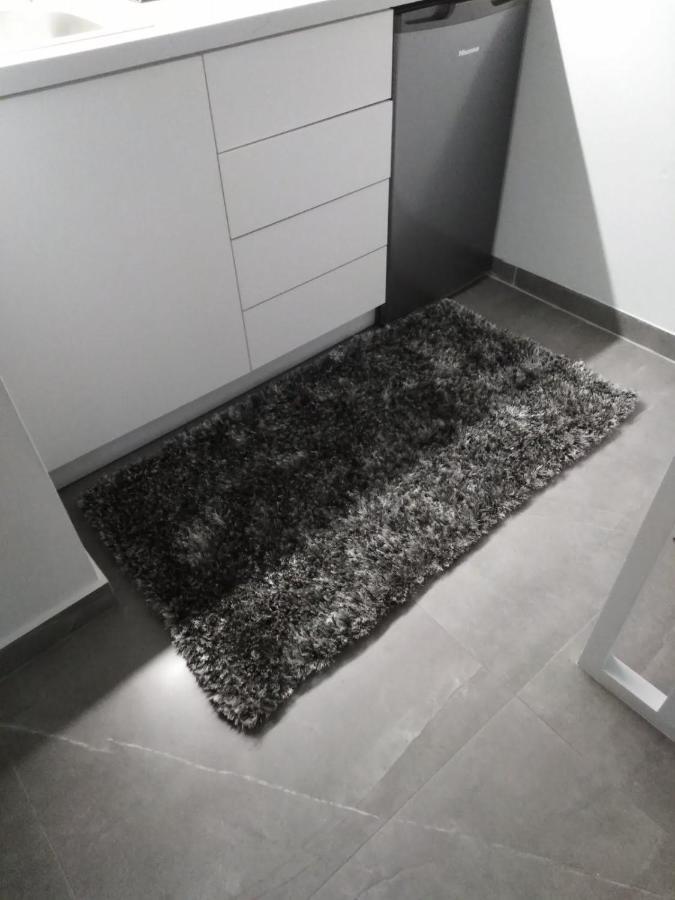 Syntagma Contemporary Apartment เอเธนส์ ภายนอก รูปภาพ